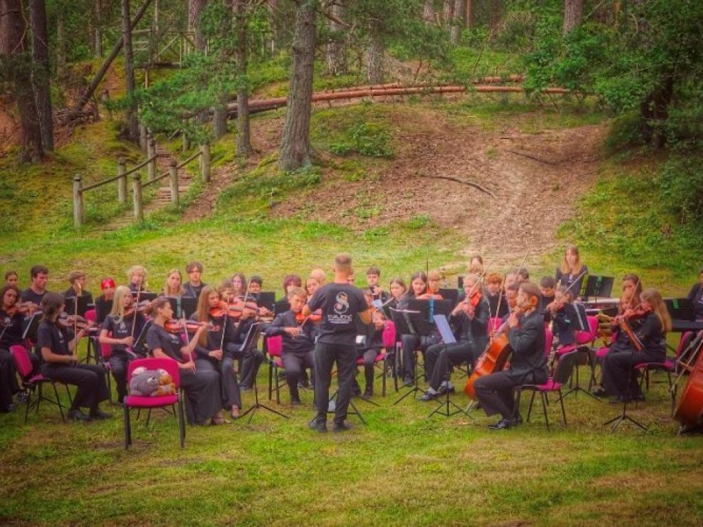 Dailės, muzikos ir šokio sūkuriai Valkininkuose